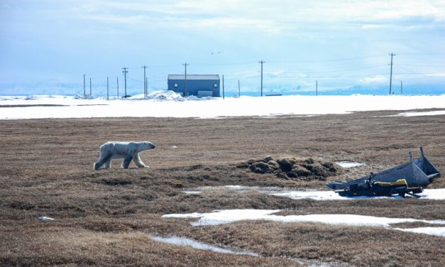 State needles insurers over climate, Arctic oil and gas policies