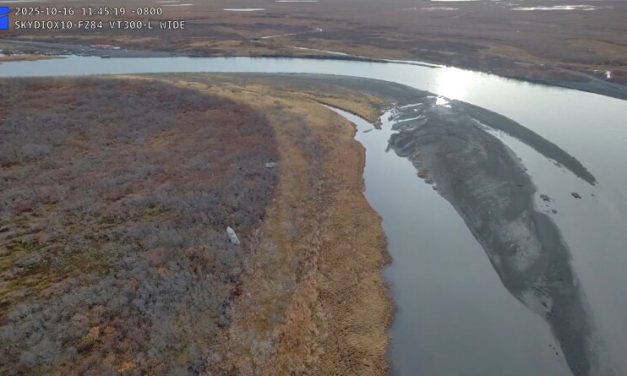 Unemployment assistance available to Alaskans affected by Typhoon Halong