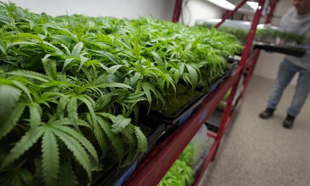 Marijuana rescheduling would bring some immediate changes, but others will take time