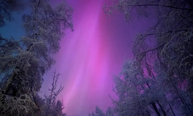 Winter tourism has grown in Alaska, but economic concerns caused a recent dip