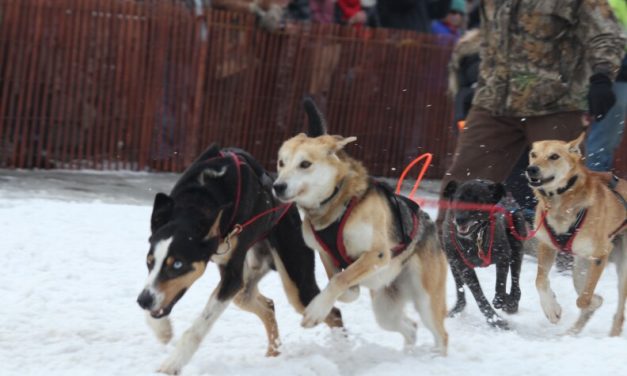 The Anchorage Weekender: Fur Rondy, Junior NYO and 7 more local events