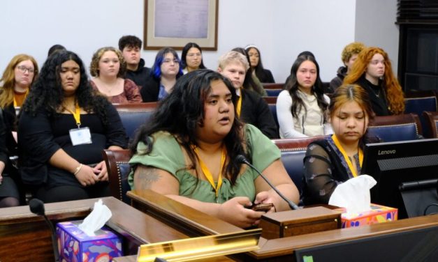 Anchorage lawmaker pushes legislation to protect sibling ties for Alaska foster youth