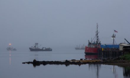 Board of Fisheries cuts Area M June salmon fishery by a third 