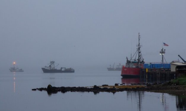 Board of Fisheries cuts Area M June salmon fishery by a third 