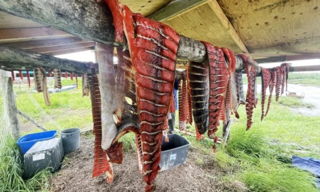 Alaska News Nightly: Friday, February 20, 2026