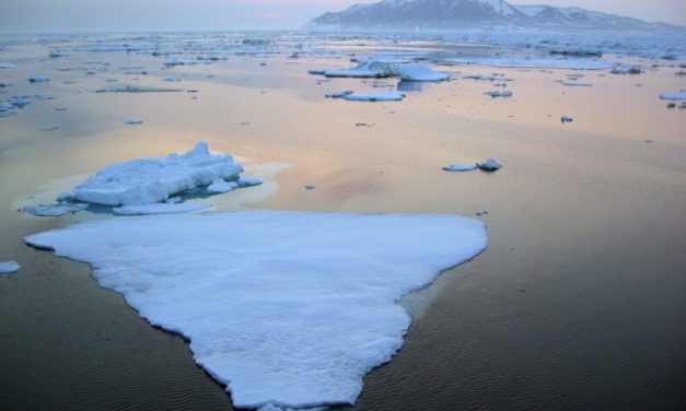 2025 was Alaska’s 8th hottest year on record