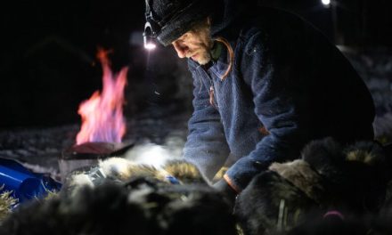 Denali Highway neighbors battle for Iditarod lead at the Yukon River