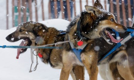 Alaska News Nightly: Friday, March 6, 2026