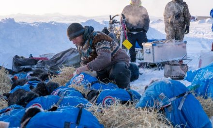 Defending Iditarod champ Holmes holds lead as race reaches coast at Unalakleet