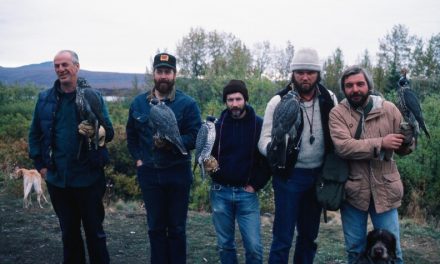 Falconry in the Last Frontier | Hometown, Alaska