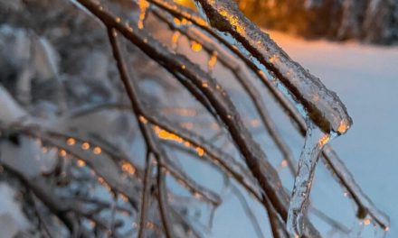 Mental health for breakup season | Line One