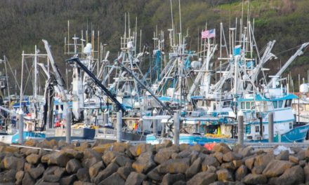 Aleutians East Borough files ethics complaint after Board of Fisheries Area M decision