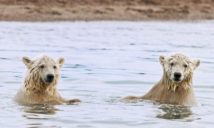 Alaska News Nightly: Friday, March 20, 2026